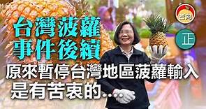 20210318A【台灣菠蘿事件後續】原來暫停台灣地區菠蘿輸入，是有苦衷的。 | 正向分析