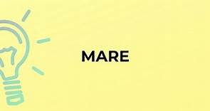 What is the meaning of the word MARE?