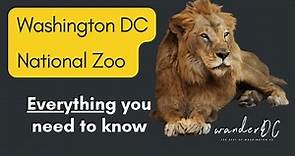 Washington DC Zoo: Everything To Know Before Your 2023 Visit To The Smithsonian National Zoo