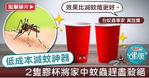 【滅蚊神器】2隻膠杯殺絕家中蚊蟲　台蚊蟲專家：效果比滅蚊燈更好 - 香港經濟日報 - TOPick - 健康 - 健康資訊