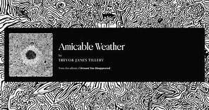 Trevor James Tillery - Amicable Weather (Official Audio)