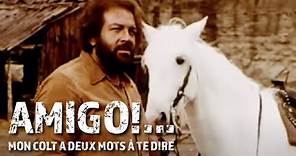 Amigo!... Mon colt a deux mots à te dire. 🔫 | Film Western Complet En Français | Bud Spencer (1972)