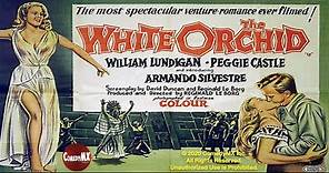 The White Orchid (1954) | Full Movie | William Lundigan | Peggie Castle | Armando Silvestre