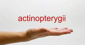 How to Pronounce actinopterygii - American English