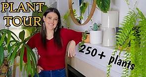 Full Houseplant Home Tour | 250+ Plants | My Entire Plant Collection
