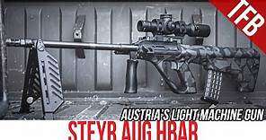 Austria's LMG: The Steyr AUG HBAR