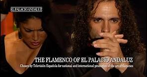 Flamenco Show | Tablao Flamenco El Palacio Andaluz