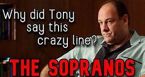 Exploring Tony's Weirdest Line in The Sopranos