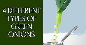 4 Different Types Of Green Onions