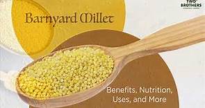 All about Barnyard Millet - Benefits, Nutrition, Uses, and More