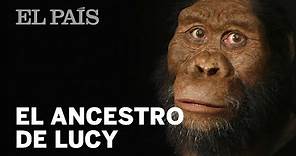 EVOLUCIÓN HUMANA: Lo que dice el rostro del ANCESTRO de ‘LUCY’