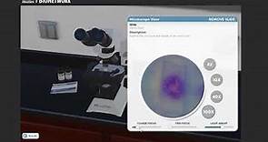 Microscopio Virtual (Bionetwork)