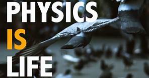 Physics is Life