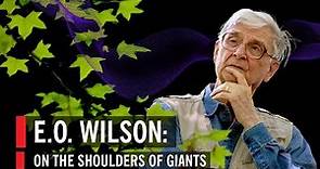 E.O. Wilson: On The Shoulders of Giants