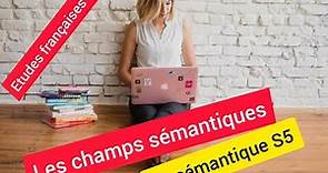 Études françaises S5: La sémantique, les champs de la sémantique avec exemples