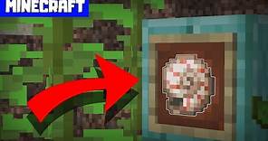 MINECRAFT | What Does the Nautilus Shell Do?