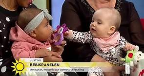 Så introducerar du mat till bebisen - Nyhetsmorgon (TV4)