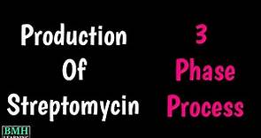Streptomycin Production | Microbial Production Of Streptomycin | Streptomycin Industrial Production
