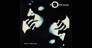 Roy Orbison- Mystery Girl (1989 Virgin Records)