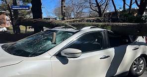 Tree crushes SUV with father, son inside