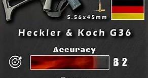 Heckler & Koch G36 (Gewehr 36) REVIEW - Shorts
