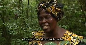 Filme en tributo a Wangari Maathai