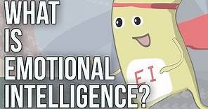What is Emotional Intelligence?