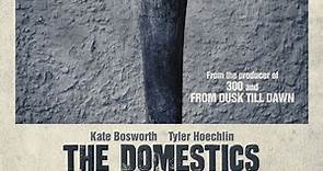 Mike P. Nelson's "The Domestics" (2018) film discussed by Delusions Of Grandeur