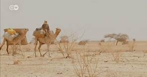 Los 'coyotes' del desierto africano
