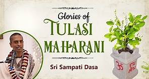 9 Benefits of worshiping Tulasi Devi | Ekadashi Special | Sri Sampati Dasa