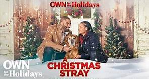 "A Christmas Stray" | Full Movie | OWN For the Holidays | OWN