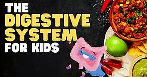 The Digestive System for Kids | A fun engaging overview of what happens when we eat!