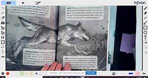 The Backstory and Author's Note : A Wolf Called Wander