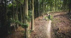 Queen Elizabeth Country Park, Hampshire trail centre guide - MBR