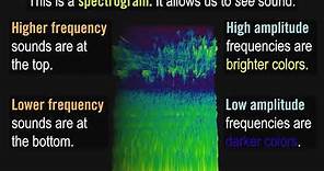What is a Spectrogram?