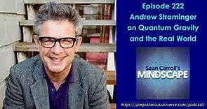 Mindscape 222 | Andrew Strominger on Quantum Gravity and the Real World