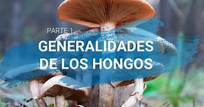 Generalidades de los hongos || Micología || Parte1