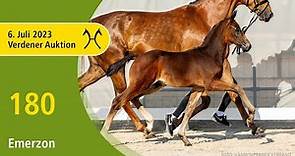 Verden Auction Online- Foals - July, 6 - No. 180 Emerzon by Escaneno - Baron (DK)
