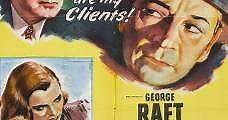Una profesión peligrosa (1949) Online - Película Completa en Español - FULLTV