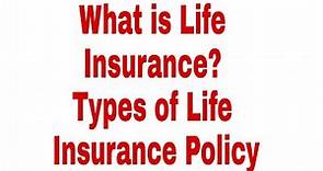 What is Life insurance? Different Types of Life insurance Policies