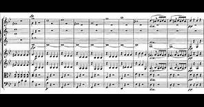 Mozart - Symphony no.25 (1st mvmt)