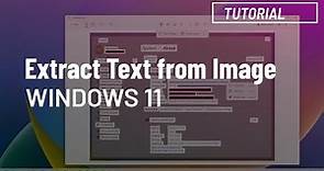 Windows 11: Extract text from image using Snipping Tool