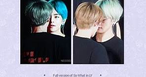 A full version of Taejin moments in So What at Love Yourself tour