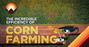 The Incredible Logistics Behind Corn Farming