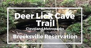Deer Lick Cave Trail – Scenic Wooded Trail in the Brecksville Reservation