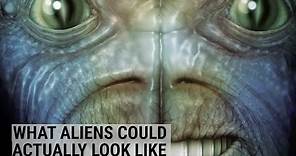 What scientists think aliens could look like
