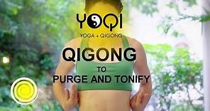 Qigong to Purge and Tonify