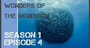 Wonders Of The Monsoon season 1 episode 4 s1e4