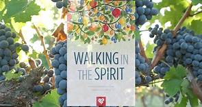 Walking In The Spirit Bible Study