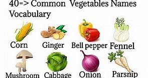 Vegetables Names In English || Vocabulary With Pictures ||Vegetables Vocabulary in English.